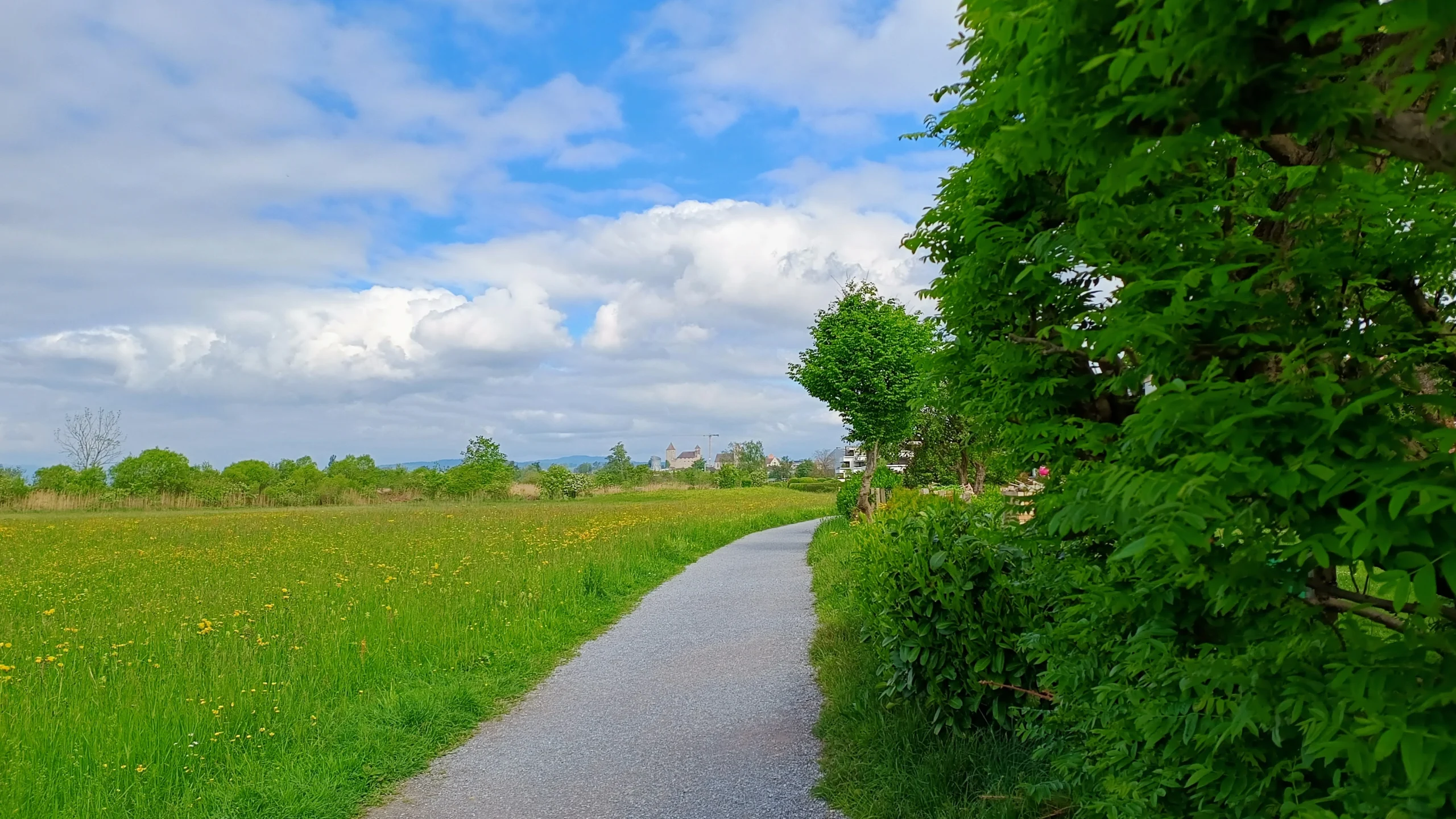 Ferne Sicht auf das Schloss in Rapperswil