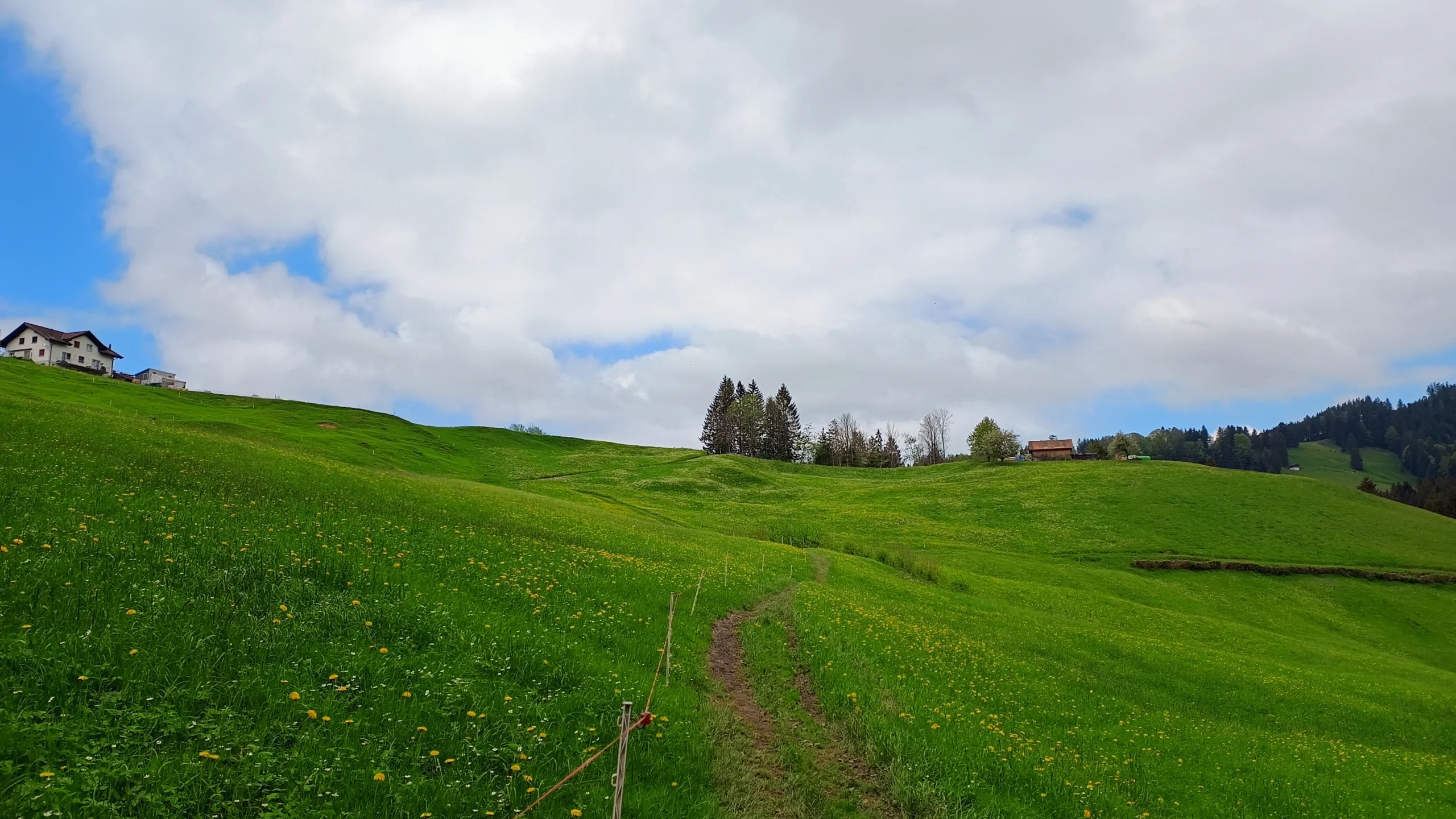 Wanderweg durch eine Wiese