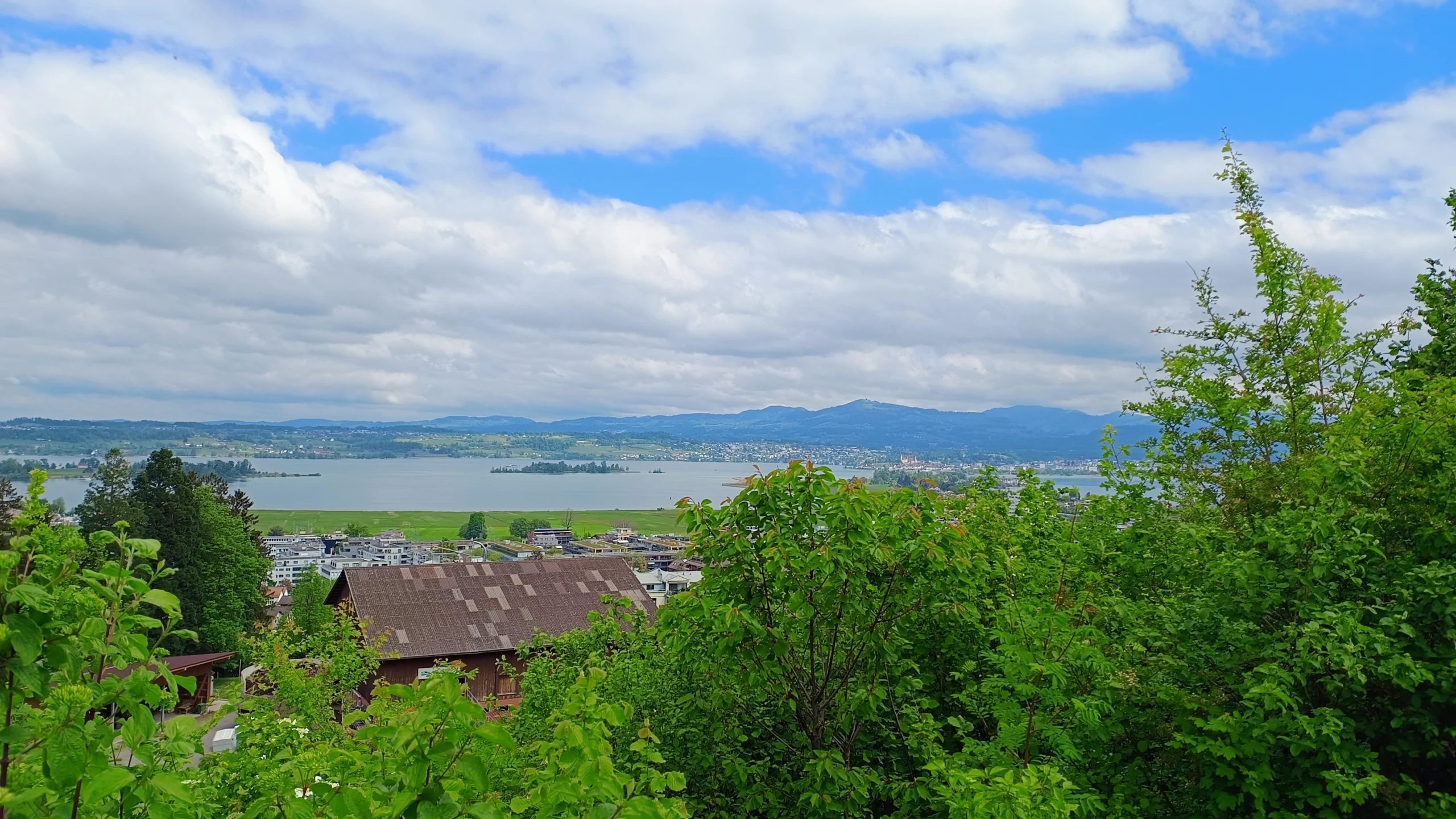 Zürichsee in der Ferne