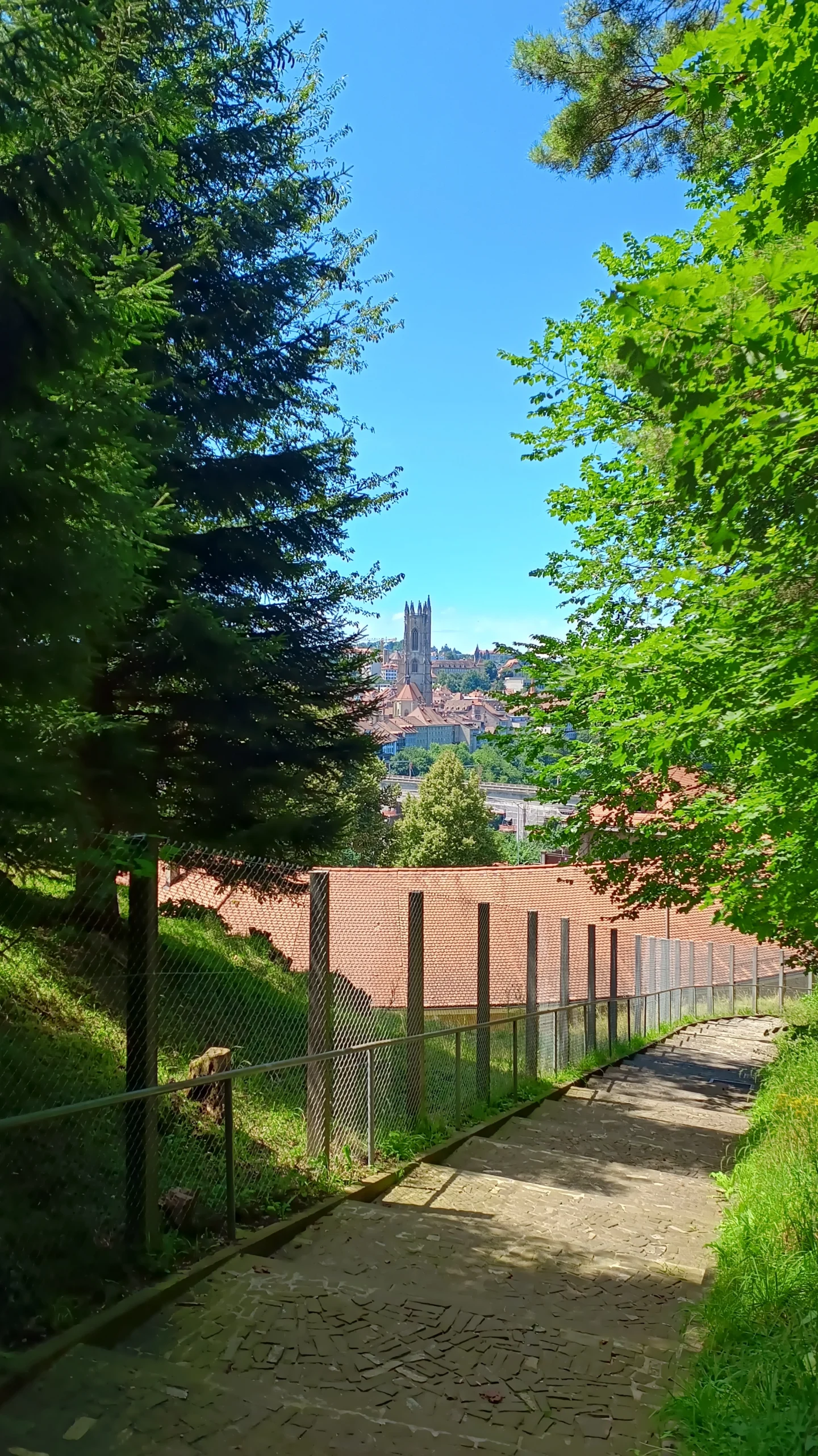 Blick auf die St. Nikolaus Kathedrale in Freiburg