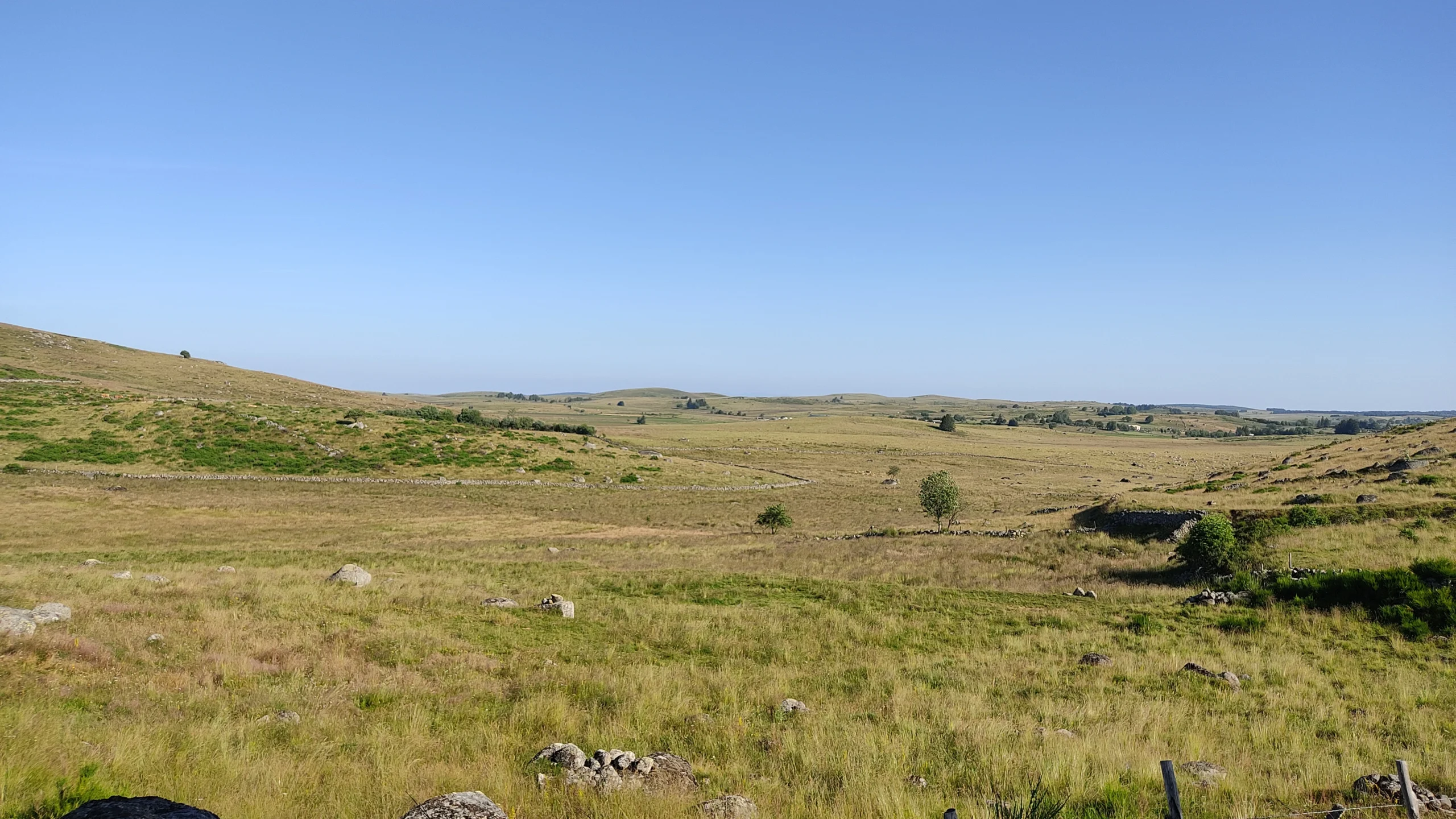 Endlose Wiesen auf dem Aubrac-Plateau