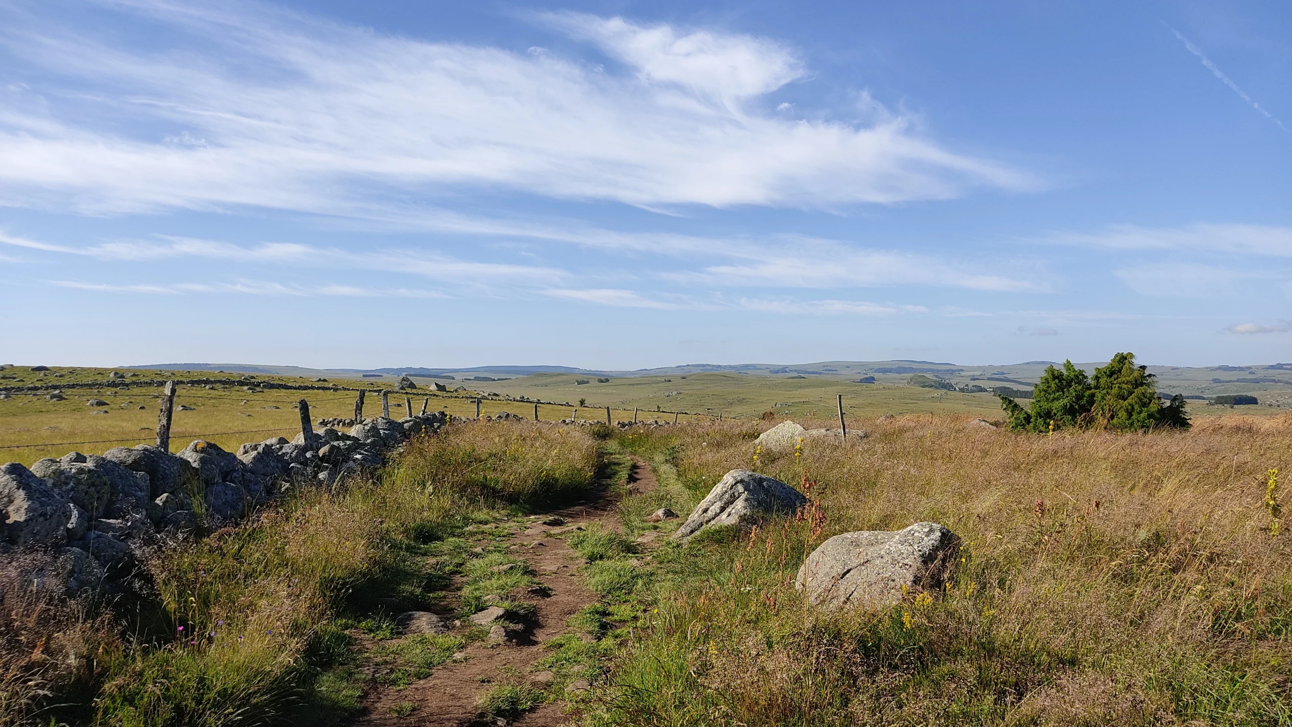 Endlose Wiesen auf dem Aubrac-Plateau