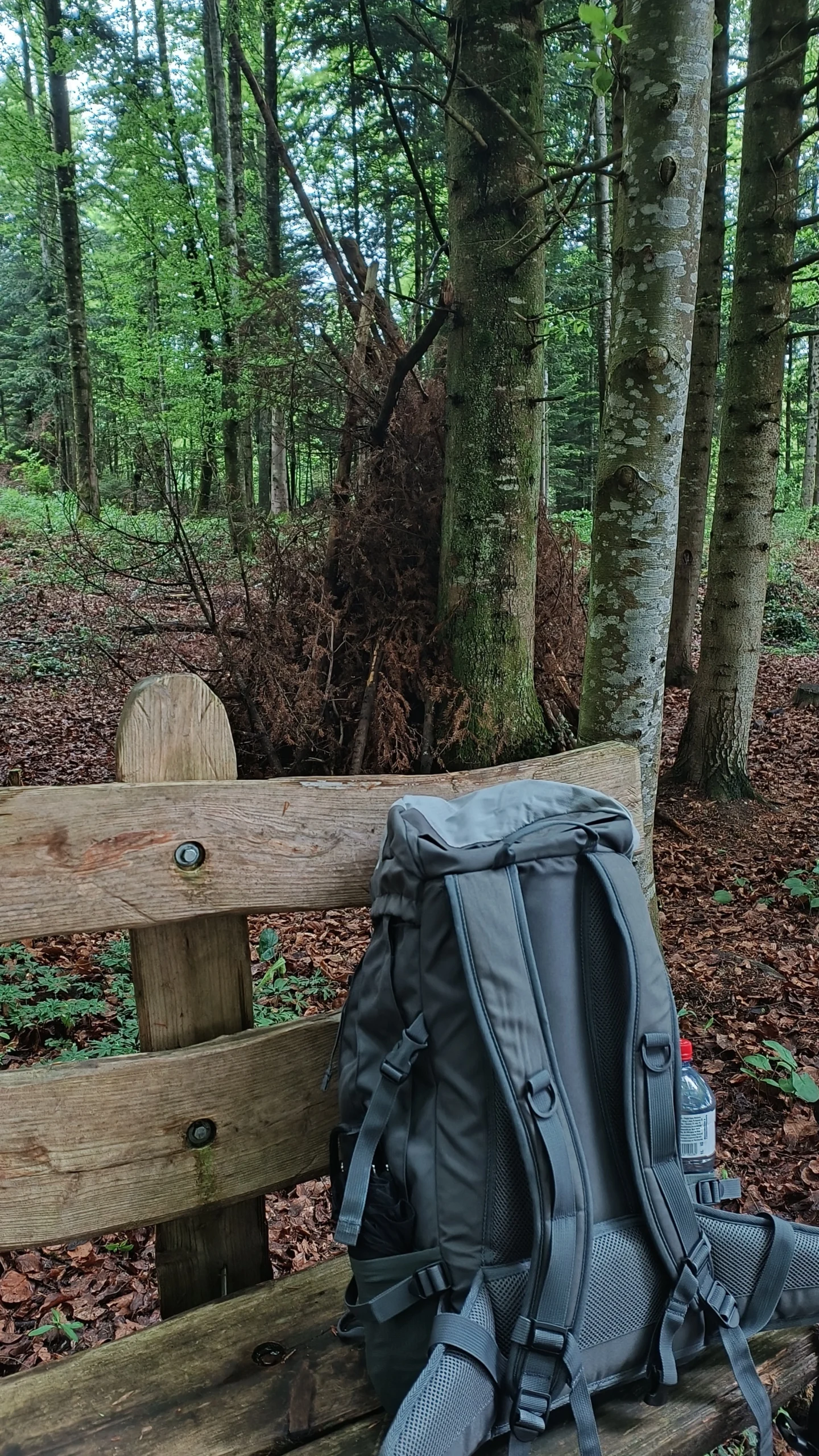Rucksack auf einer Holzbank im Wald