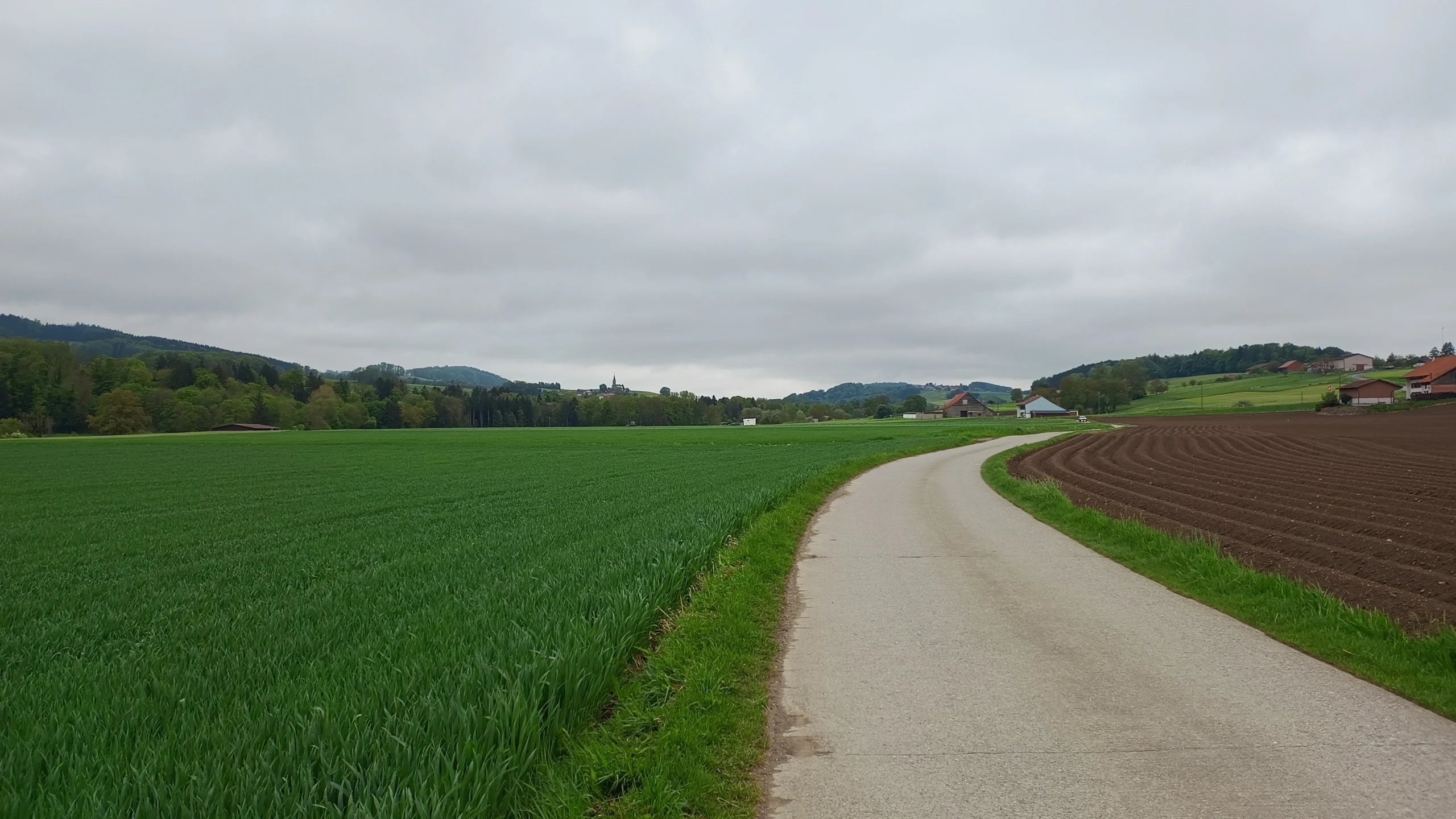 Asphaltierte Strasse durch Felder